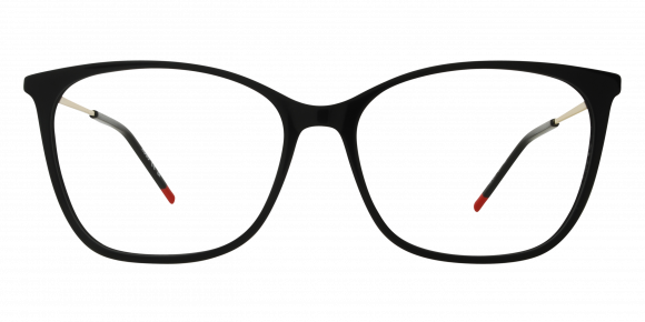 Hugo Boss HG1294
